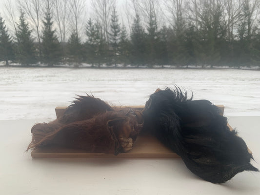 Furry Cow Ear