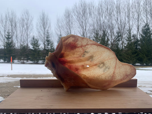 Jumbo Pig Ears