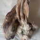 Furry Rabbit head
