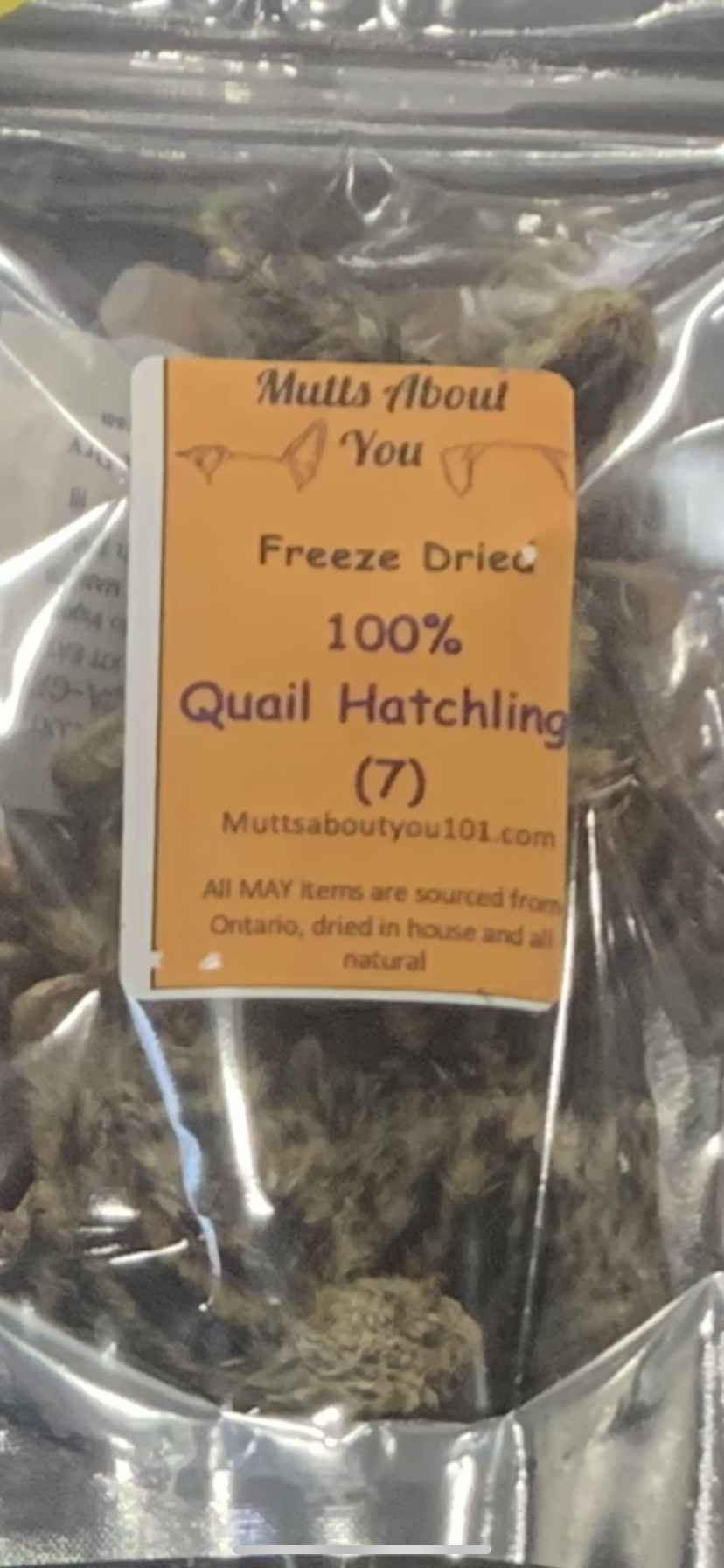 Freeze Dried quail Hatchlings