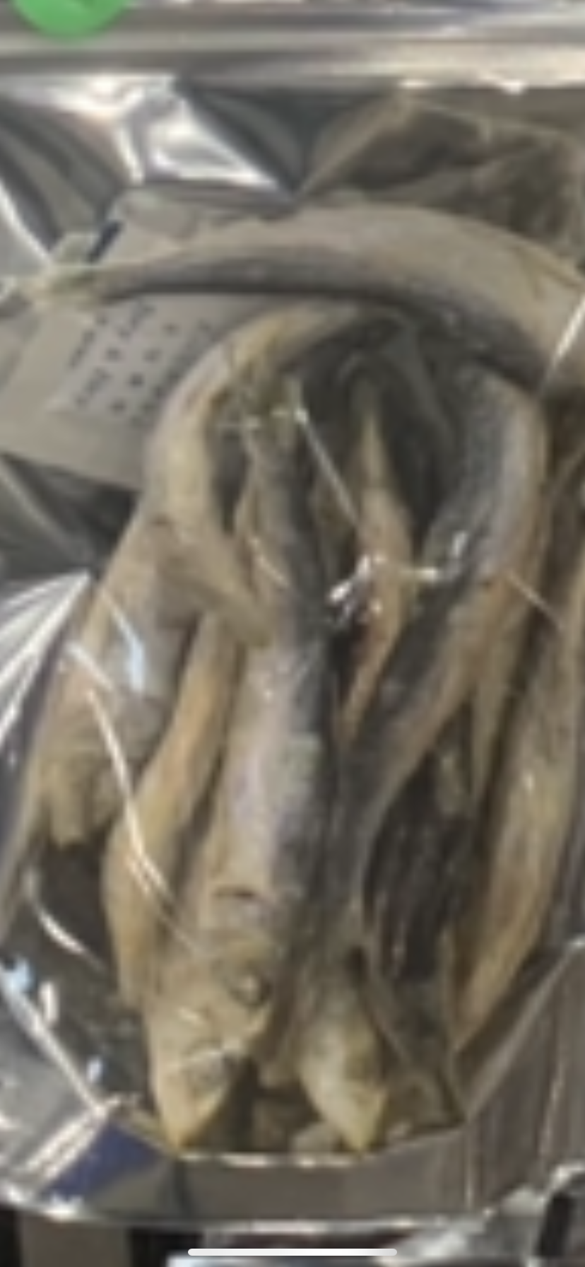 Freeze Dried Sardines