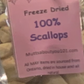 Freeze dried scallops