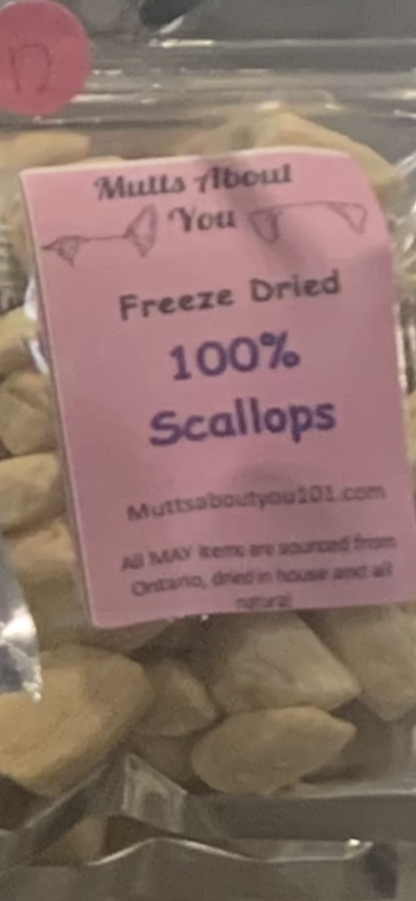 Freeze dried scallops